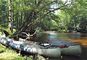 Canoe Launch near Winding River Campground